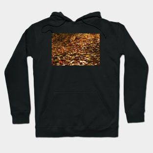 Autumn Leaves Fallen On To Forest Surface Hoodie